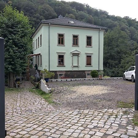 Idyllische Ferienwohnung In Zentrumsnaehe Drážďany Exteriér fotografie