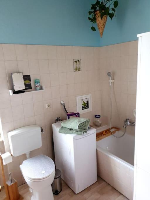 Idyllische Ferienwohnung In Zentrumsnaehe Drážďany Exteriér fotografie